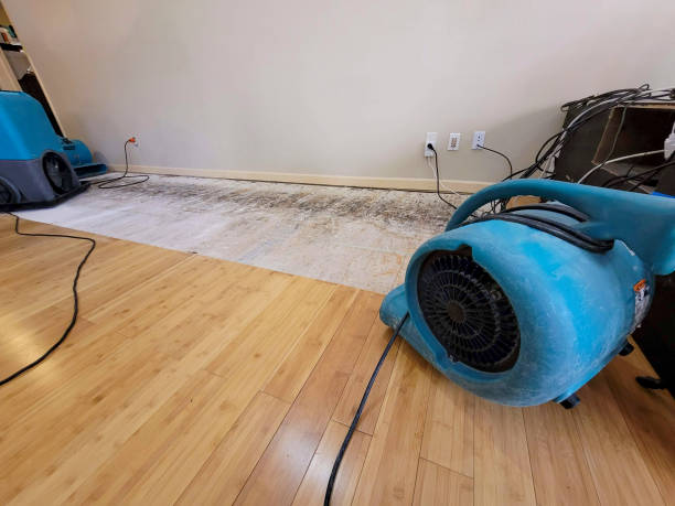 Professional Water Damage Repair technician working in Groveland, FL